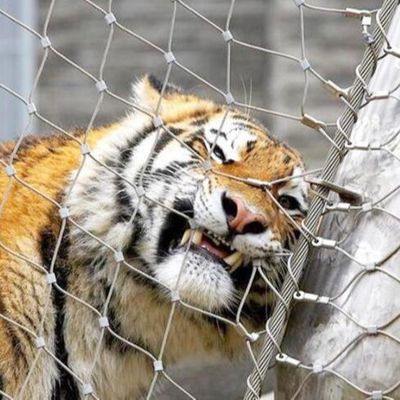 Edelstahl Zoo Maschendrahtzaun Hochfestes Drahtseilnetz