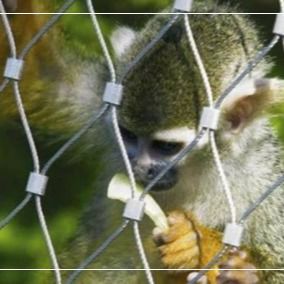 316 Garn aus Edelstahl für Tierhäuser