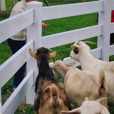 2 Schienen Kunststoff Pferde Feld Zaun Pferde Sicherheit Zaun Paddock Kunststoff Schienenzaun