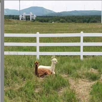Weiße Farbe 2Rails 3Rails PVC Kunststoff Vinyl Farm Zaun Ranch Zaun
