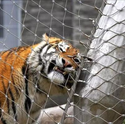 1.6mm Zoo Animals Enclosure Stainless Steel 304 316 Fence Wire Rope Cable Mesh
