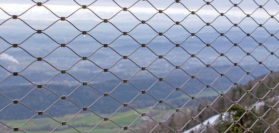 Edelstahlkabelseilnetz für Architektur Diamant Flexible Screen Zoo Tiergehege Safe