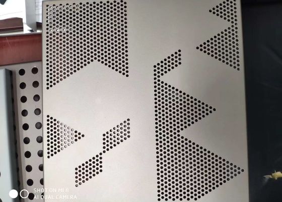 Perforiertes Metallnetz für Filtration und Dekoration