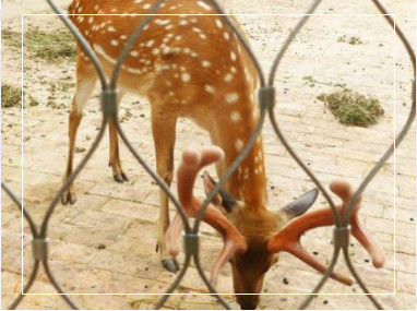 Handgewebtes flexibles Rohrnetz aus Edelstahl mit anpassbaren Grenzgrößen für Balustraden und Zoo-Gehege