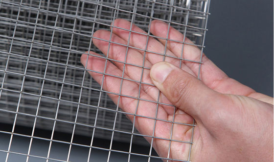 25x25mm verzinkte geschweißte Drahtgitterplatten für dekorative Zäune
