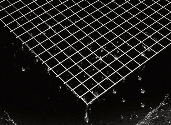 25x25mm verzinkte geschweißte Drahtgitterplatten für dekorative Zäune