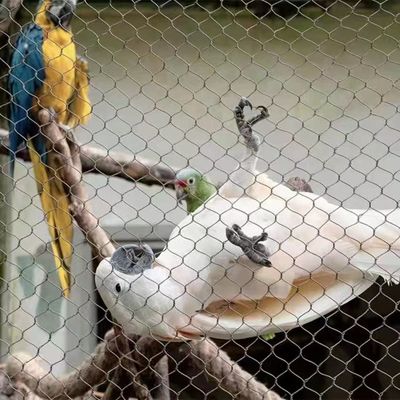 Edelstahl-Seilnetz mit Diamant-Loch-Form UV-beständig und 10 Jahre Garantie für Zoo Zaun und Vogelstall